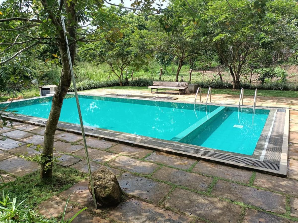 Spice Village Hotel & Restaurant Habarana Extérieur photo